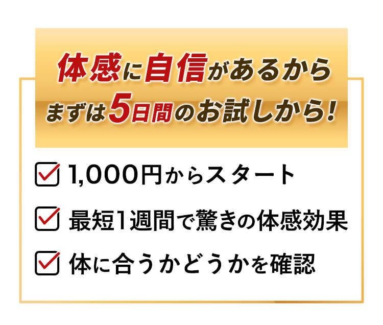 まずは5日間のお試しから!